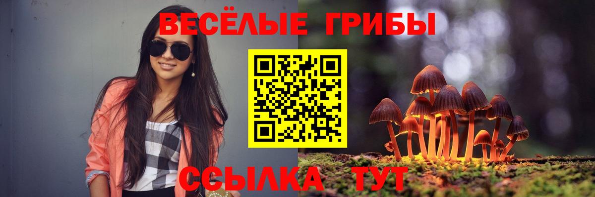 Урай  Галлюциногенные грибы Cubensis  где можно купить наркотик  Псилоцибиновые грибы прущие грибы  Вход с VPN 